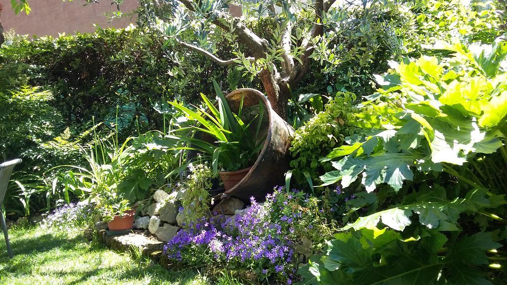 B&B Il Paiolo Desenzano del Garda Bagian luar foto